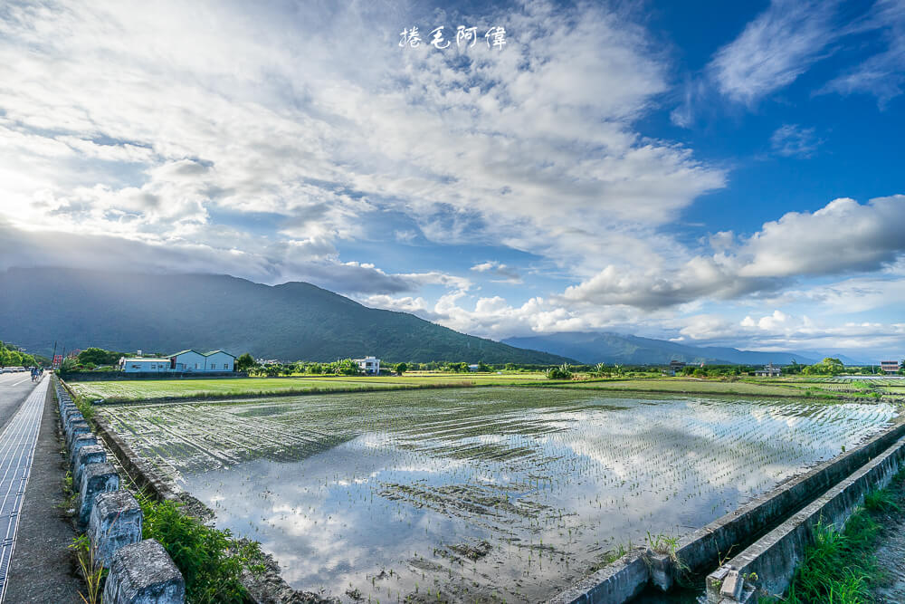 鳳林自行車道 |穿梭花蓮國際慢城之中，出沒大小美食景點，享受騎行慢生活。