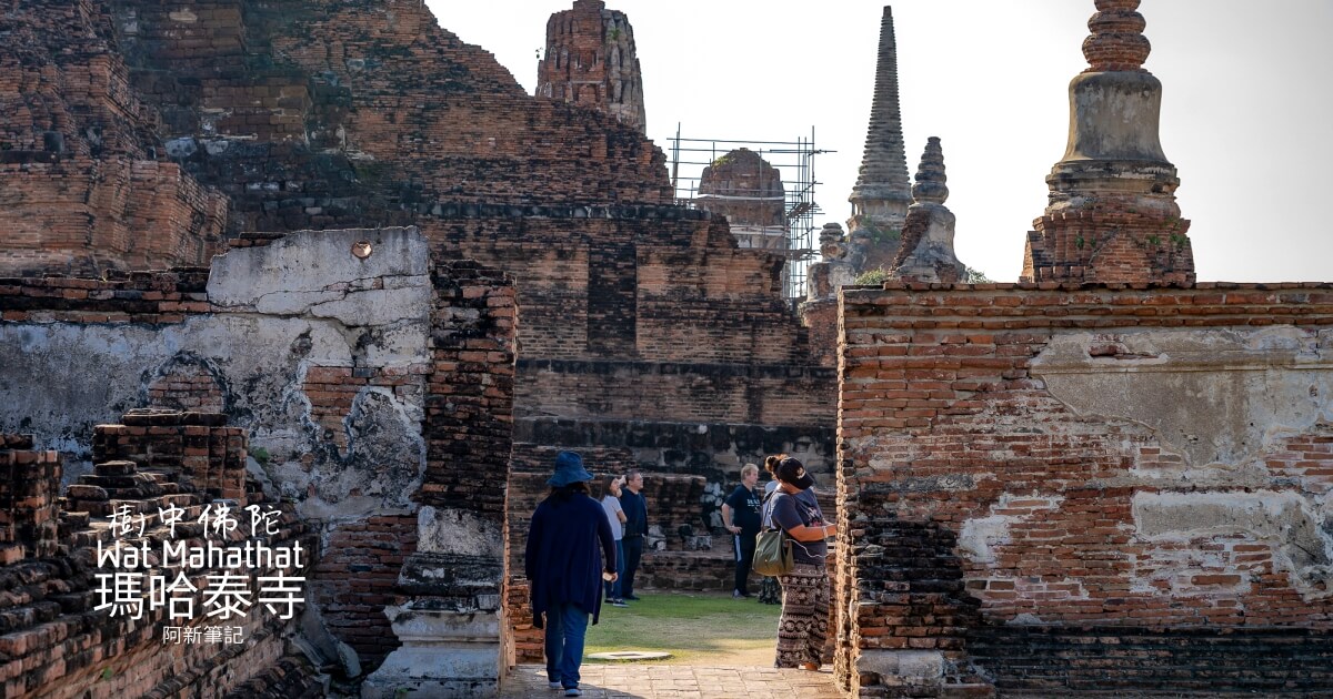 Wat Mahathat,大城府遺址,大城樹中佛陀,樹中佛陀,泰國大城景點,泰國旅遊,泰國樹中佛陀,瑪哈泰寺,瑪哈泰寺Wat Mahathat @捲毛阿偉