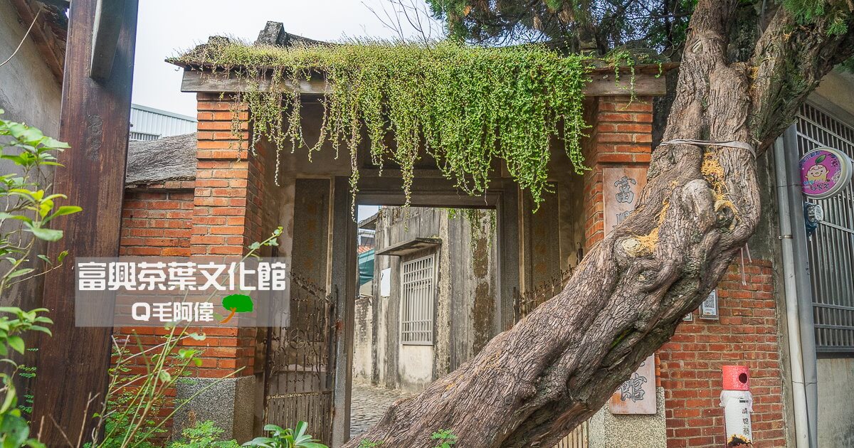 Hsinchu,Oriental Beauty Tea,Taiwan,富興國小,富興老茶廠,富興老茶廠老闆,富興老茶廠電話,富興老街,富興茶業文化館,富興茶業文物館,峨眉湖,新竹峨眉富興老茶廠,新竹旅遊,新竹景點,東方美人茶,細茅埔吊橋 @捲毛阿偉