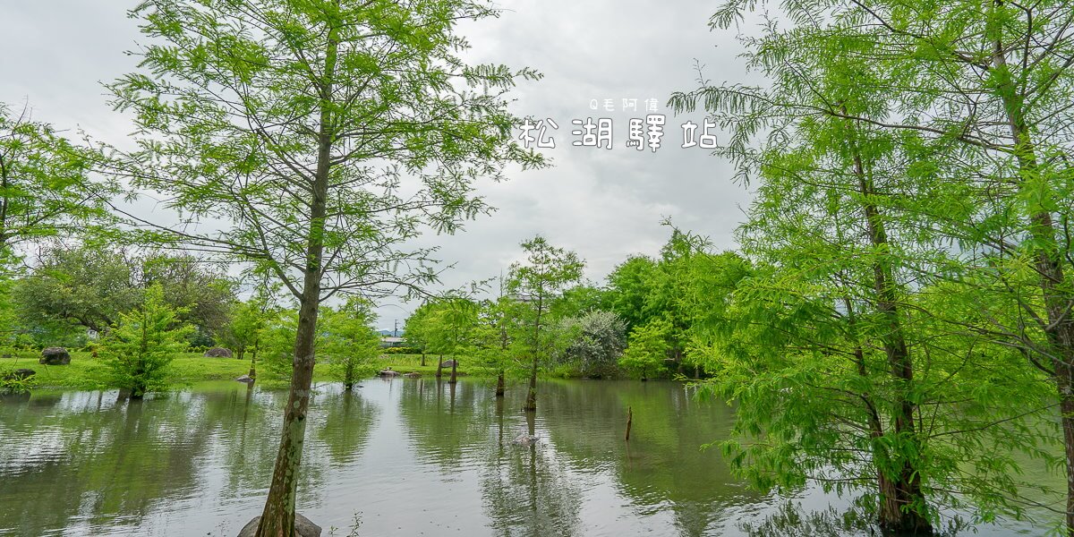 花蓮IG景點,花蓮必去景點,花蓮打卡景點,花蓮旅遊,花蓮景點懶人包,花蓮景點推薦,花蓮秘境,花蓮親子旅遊,花蓮鯉魚潭 @捲毛阿偉