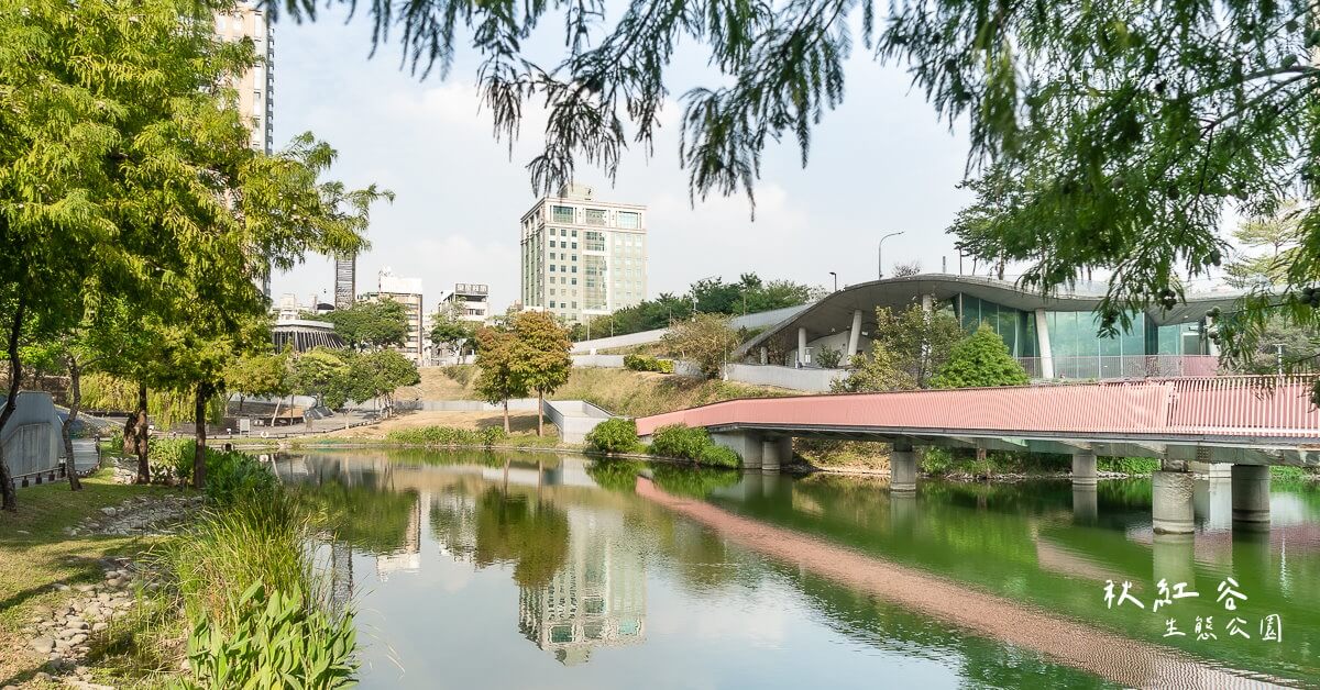 台中景點,台中秋紅谷,台中親子景點,秋紅谷,秋紅谷景觀生態公園,秋紅谷生態公園 @捲毛阿偉