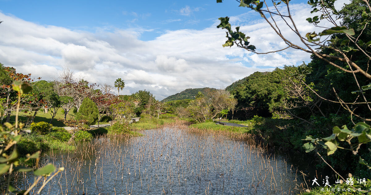 大溪山豬湖,大溪景點,大溪老街景點,山豬湖生態親水公園 @捲毛阿偉