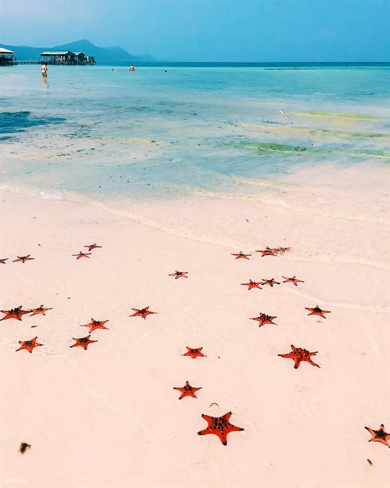 Starfish Beach,富國島,富國島北部景點,富國島旅遊,富國島景點,富國島沙灘,富國島自由行,海星沙灘,海星沙灘Starfish Beach @捲毛阿偉