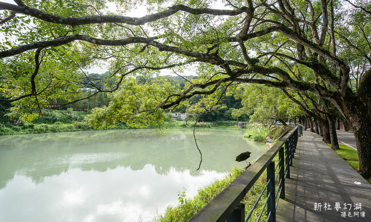 台中旅遊,台中景點,夢幻湖,新社夢幻湖,新社旅遊,新社景點,雙翠水壩,雙翠潭 @捲毛阿偉