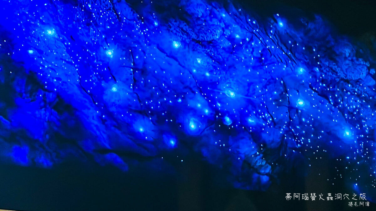 Glowworm Caves,Te Anau Glowworm Caves,南島螢火蟲洞,紐西蘭南島螢火蟲,紐西蘭旅遊,紐西蘭景點,紐西蘭行程推薦,蒂阿瑙螢火蟲洞,蒂阿瑙螢火蟲洞穴之旅 @捲毛阿偉